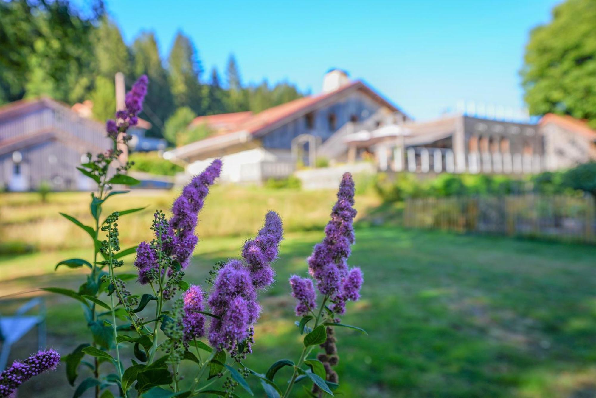 Auberge De La Poulciere Gérardmer Exterior photo
